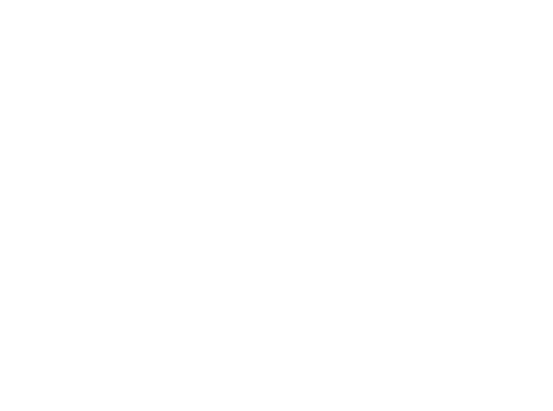 Affiliate Partner Program